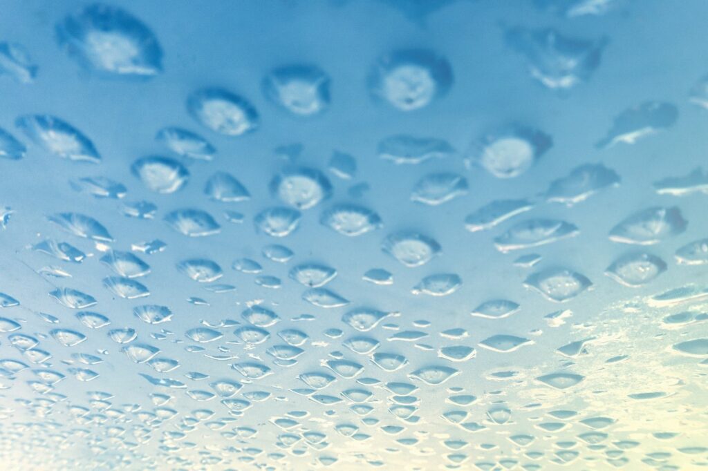 example of condensation droplets